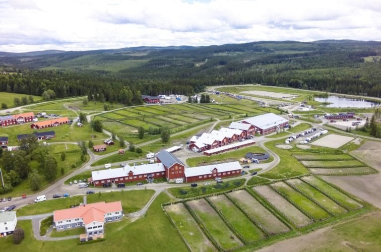 Avelsvärdering Wången