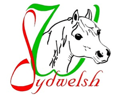 Sydwelsh sommarutställning, Bjärsjölagård