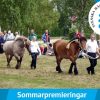 Sommarpremiering Stora Sjögestad, Linköping