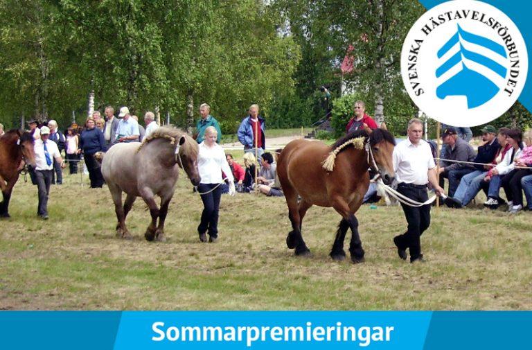 Anmälan sommarpremieringarna 2024
