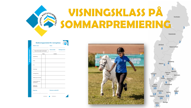 Visningsklass på sommarpremiering