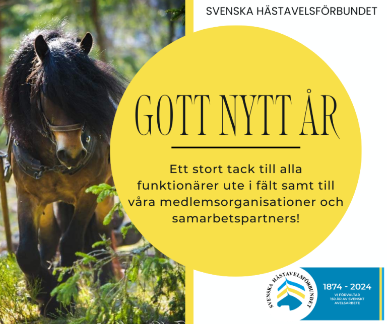 Gott Nytt År