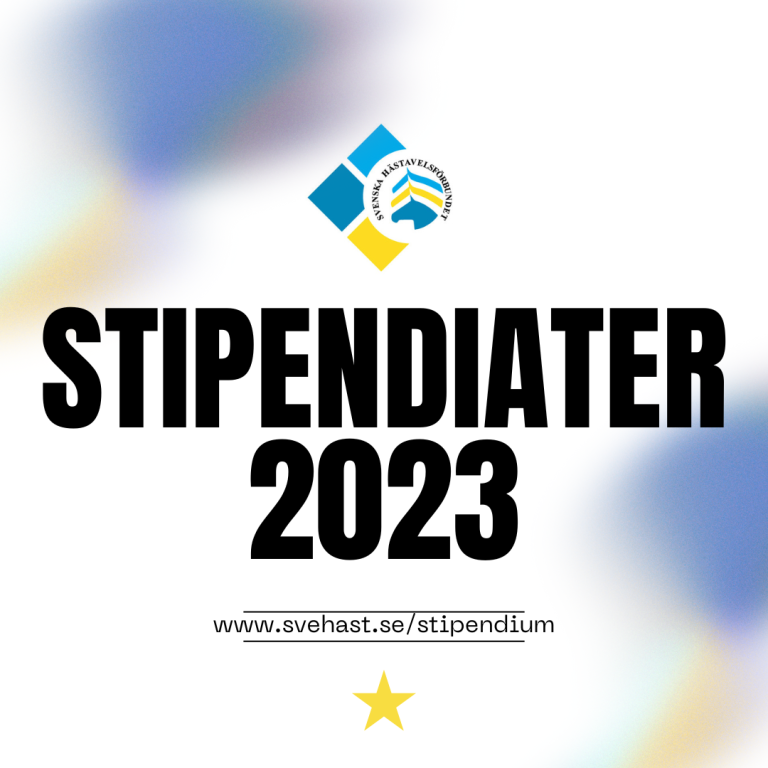 Ungdomsrådets Stipendium 2023
