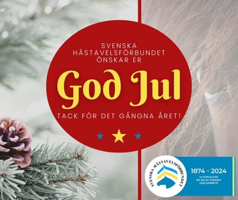 God Jul & Gott Nytt År