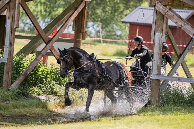 Veckans medlemsförening – Vecka 5