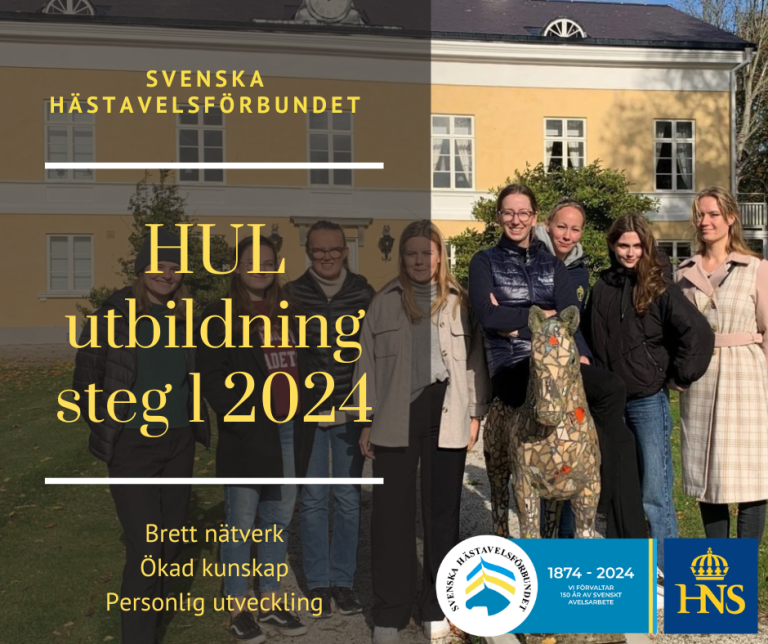 Hästnäringens Unga Ledare