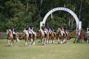 Veckans medlemsförening – Vecka 8