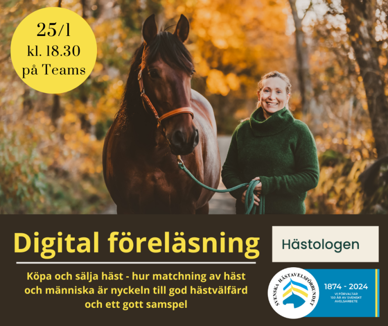 Digital föreläsning – matchning av häst och människa