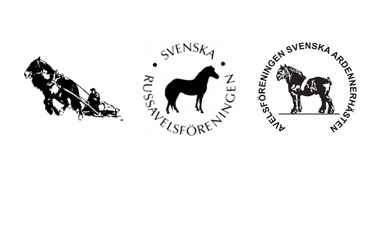 Avelsvärdering hingstar Grevagården, Skövde