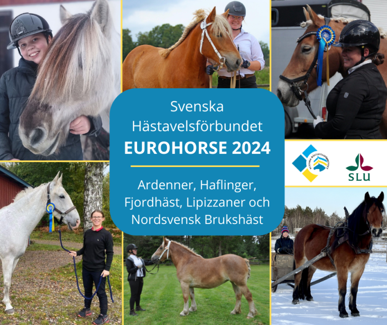 EuroHorse 2024
