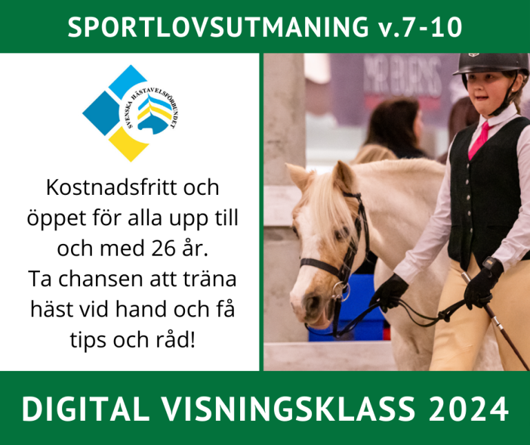 Digital visningsklass 2024