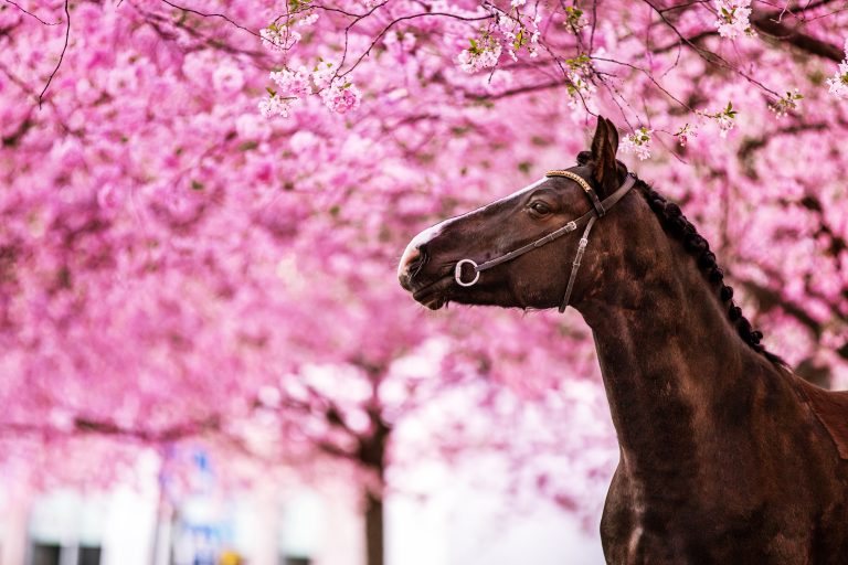 Trevlig Valborg och 1 maj