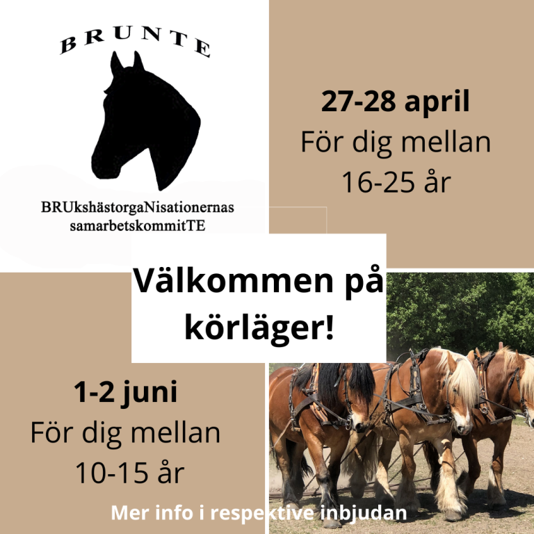 Körläger med Brunte