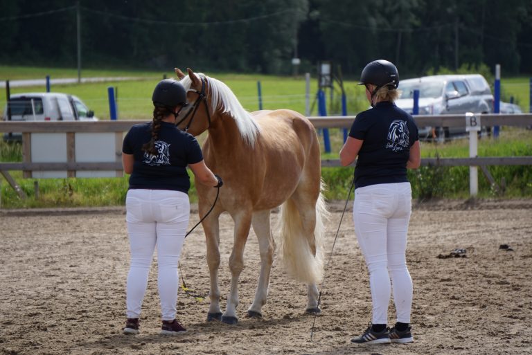 Ungdom som hjälp på SP