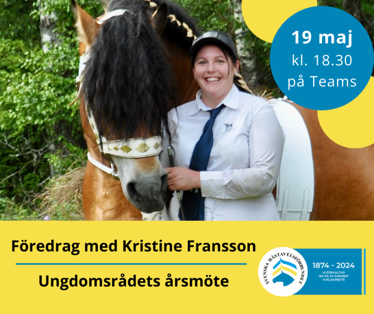 Digitalt årsmöte UR