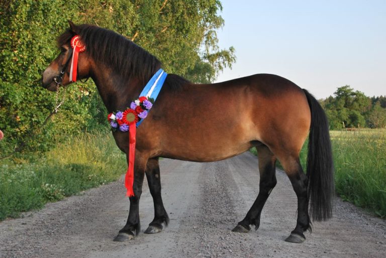 Veckan medlemsförening – Vecka 19