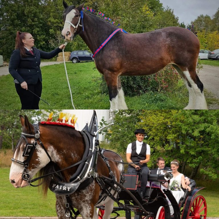 Veckans medlemsförening – Vecka 20