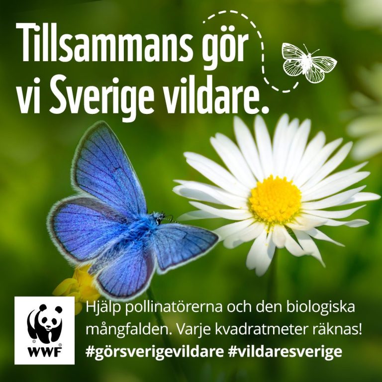 Öka den biologiska mångfalden