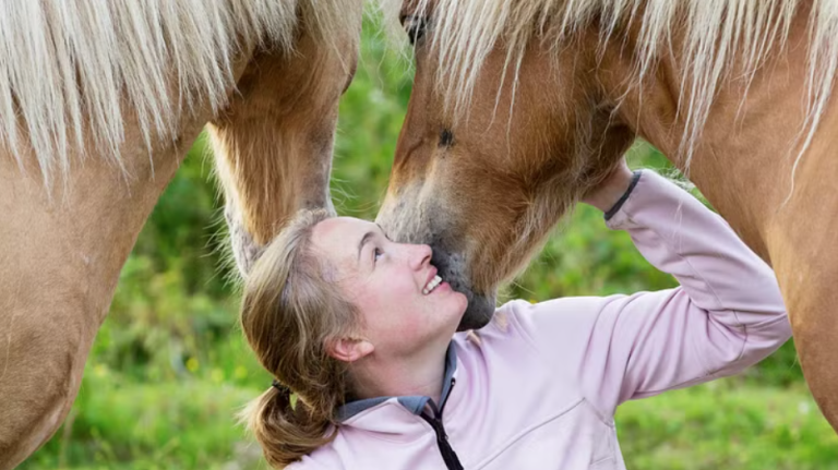 Pressmeddelande från JV