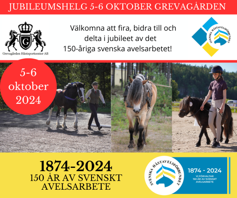 Uppdatering jubileumshelg