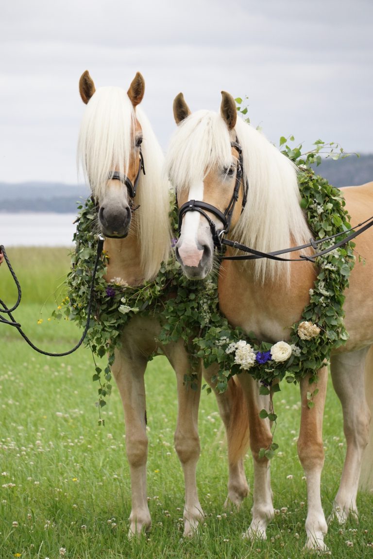 Ordinarie telefontid