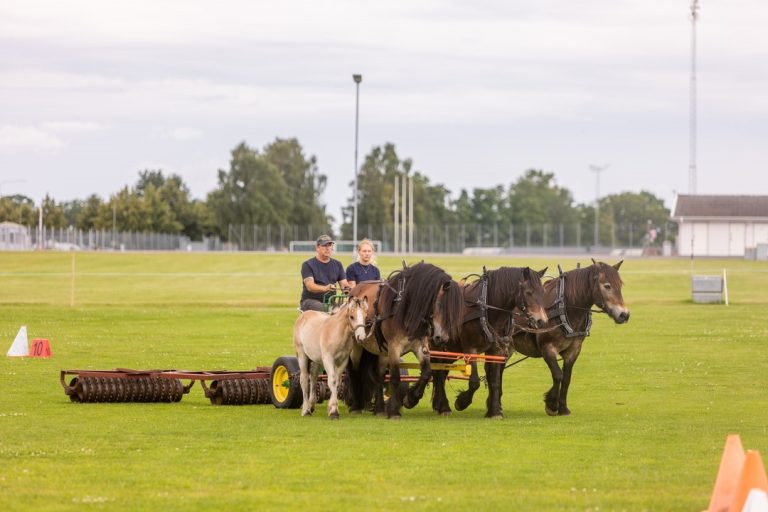 Länskommittéer träning inför sommarpremiering