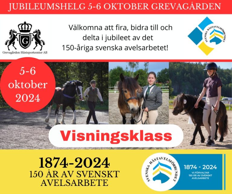 Visningsklass på jubileumshelgen