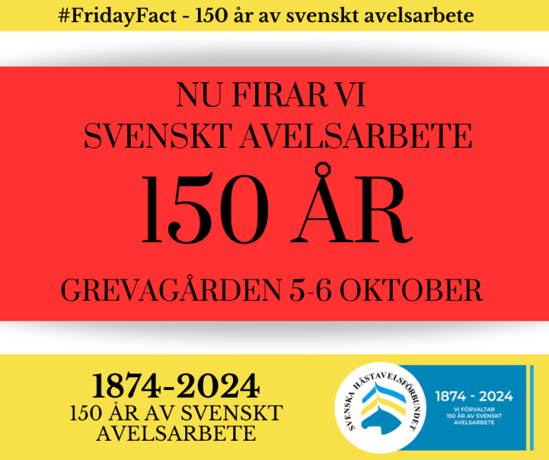 Katalog jubileumshelgen