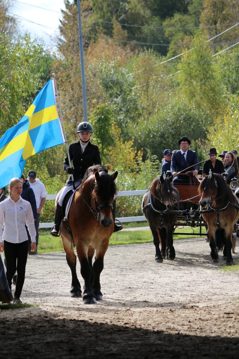 Jubileumshelg 5-6 oktober