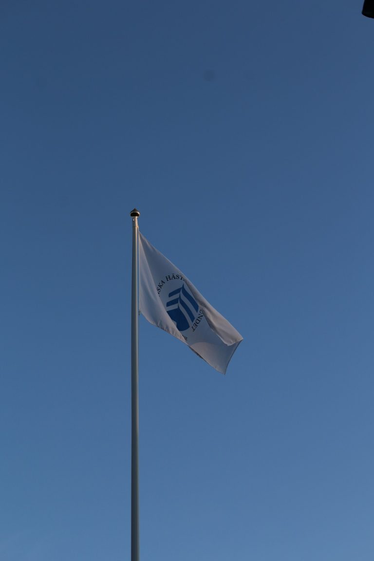 Jubileumssuccé & nya tjänster SH:s kansli