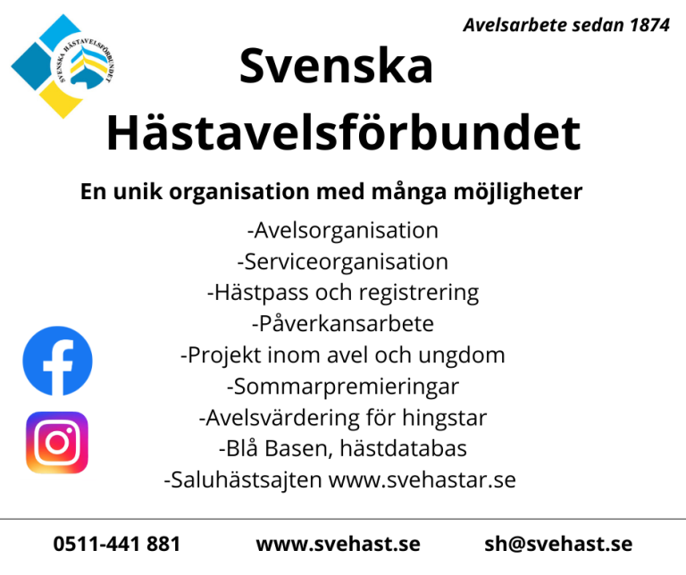 Halvårsmöte 10 november