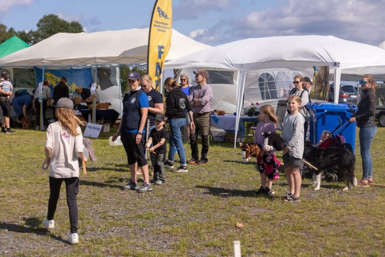 Barnaktiviteter på Grevagården 5 oktober