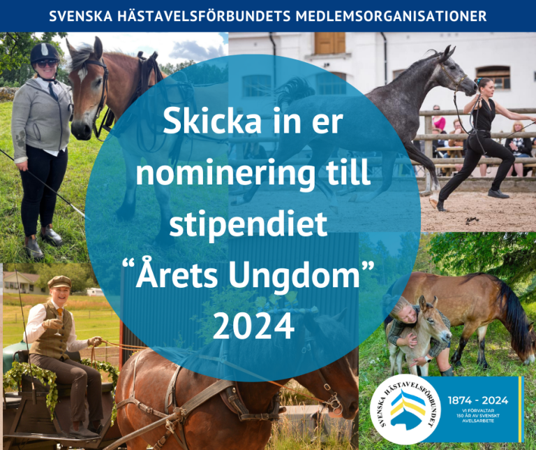 Stipendie ”Årets Ungdom”