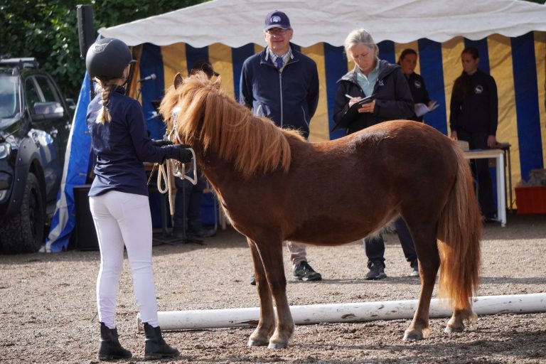 Statistik sommarpremiering