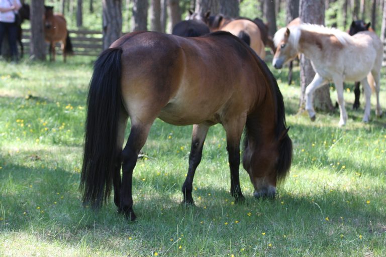 Betäckningssiffror 2024