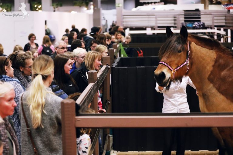 Paddockprogram EuroHorse 2025
