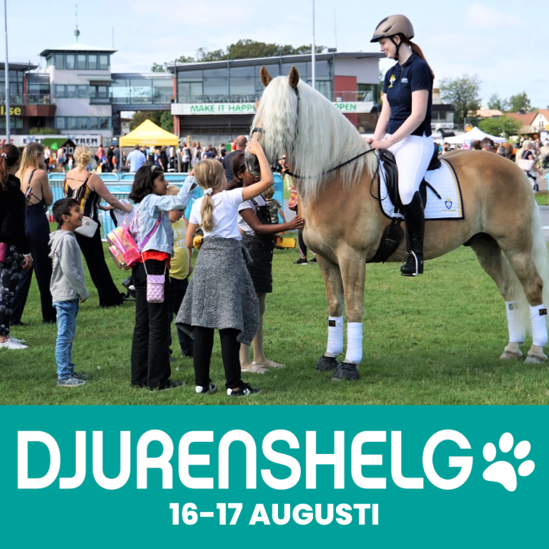 Save the date – Djurens Helg 2025