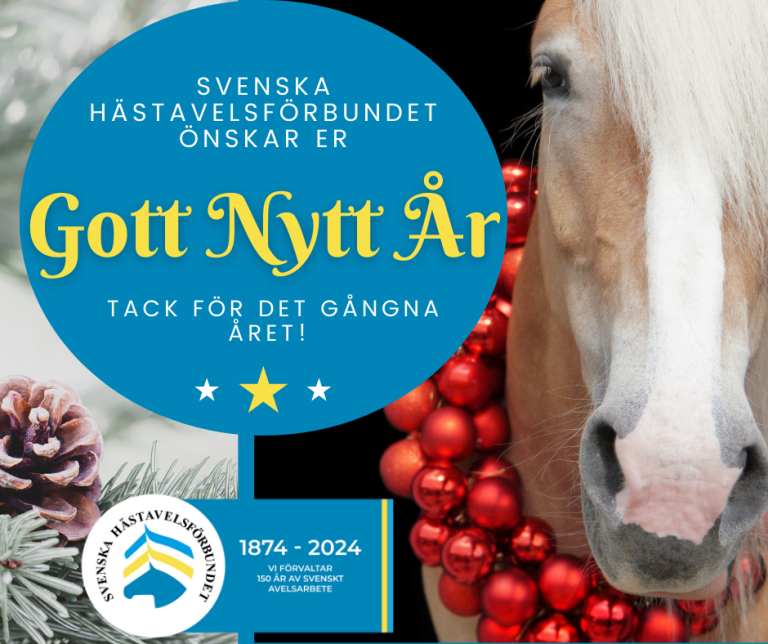 Gott Nytt År