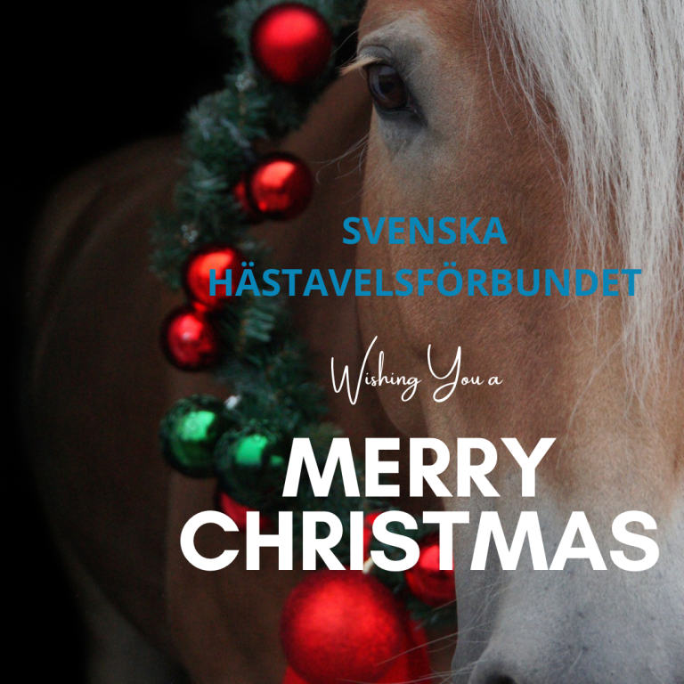 GOD JUL