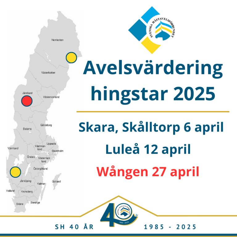 Preliminära resultat avelsvärdering Wången