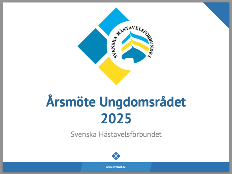 Årsmöte Ungdomsrådet