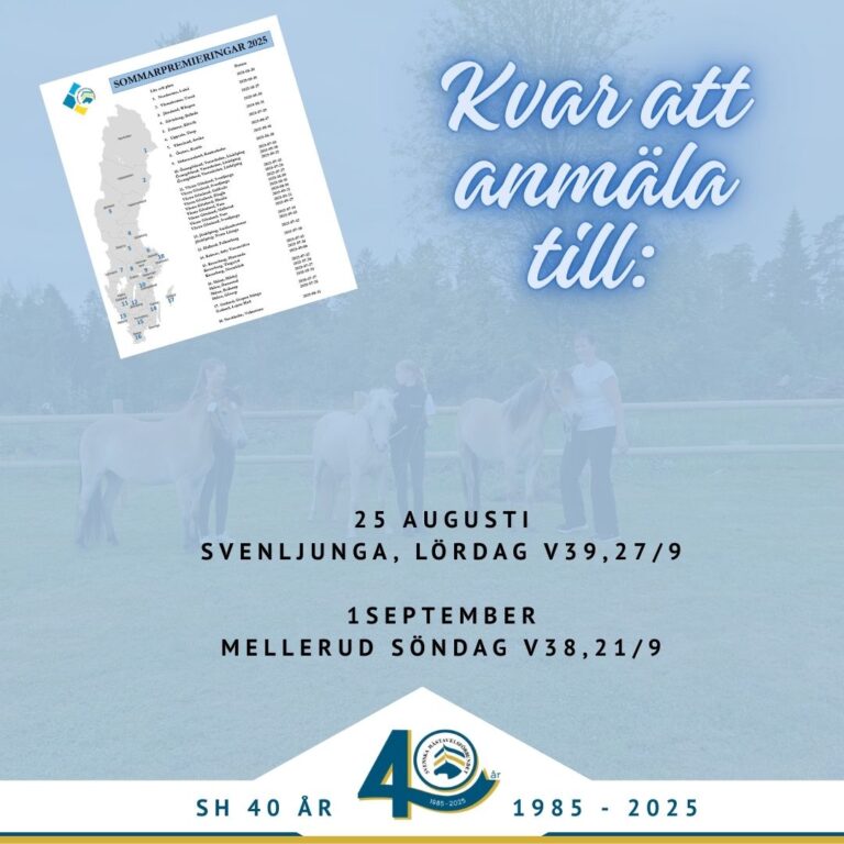 Sista chansen (snart)!