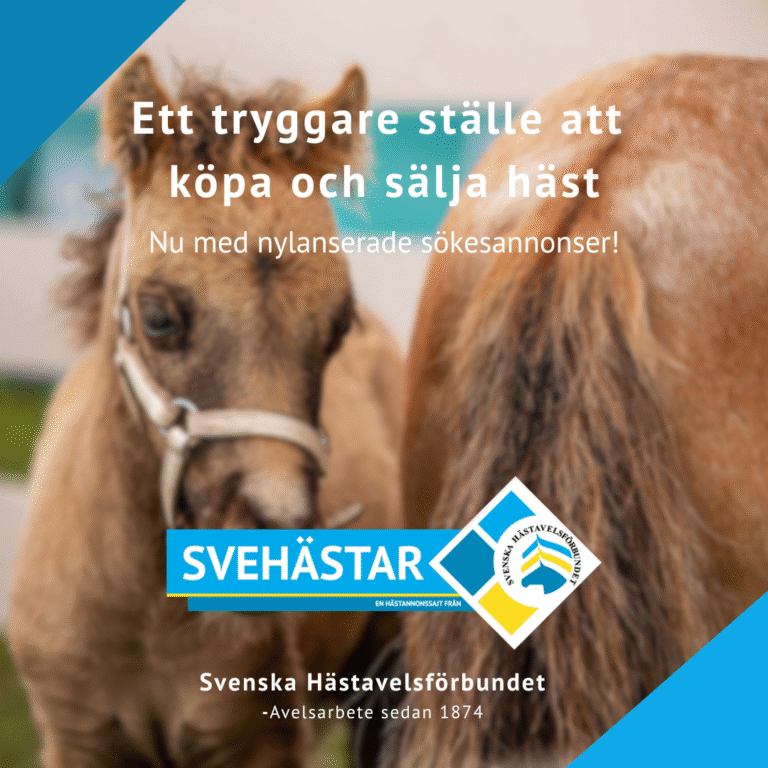 Sökesannonser – www.svehastar.se
