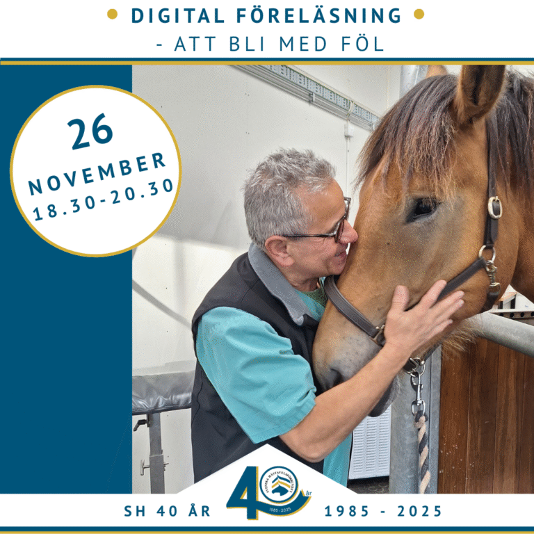 Save the date – digital föreläsning