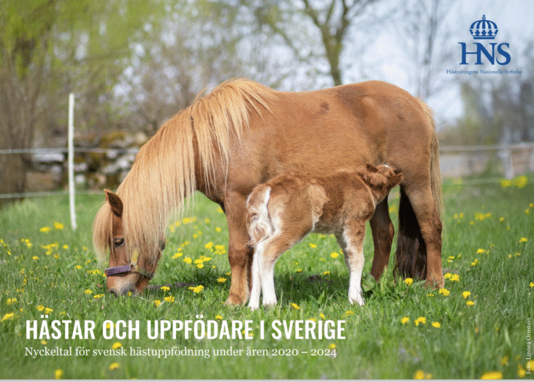 Nu publicerad ”Hästar och uppfödare i Sverige”