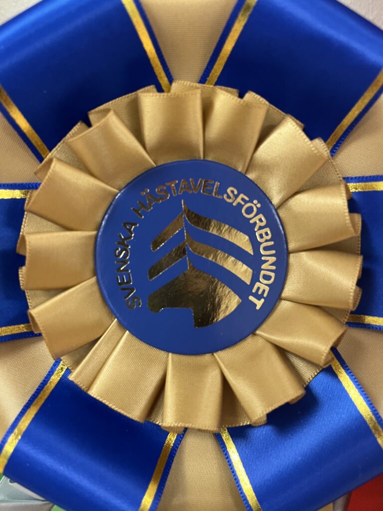 Årets mesta visare 2025