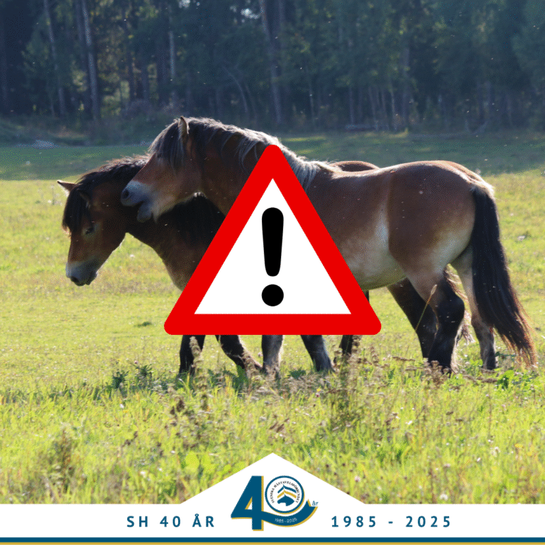 Gamla betäckningsrapporter ?