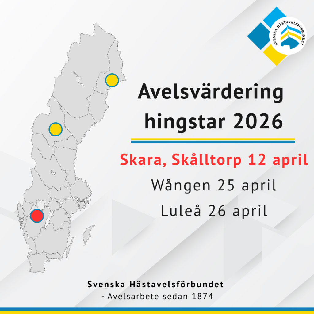 Avelsvärdering i SHs regi