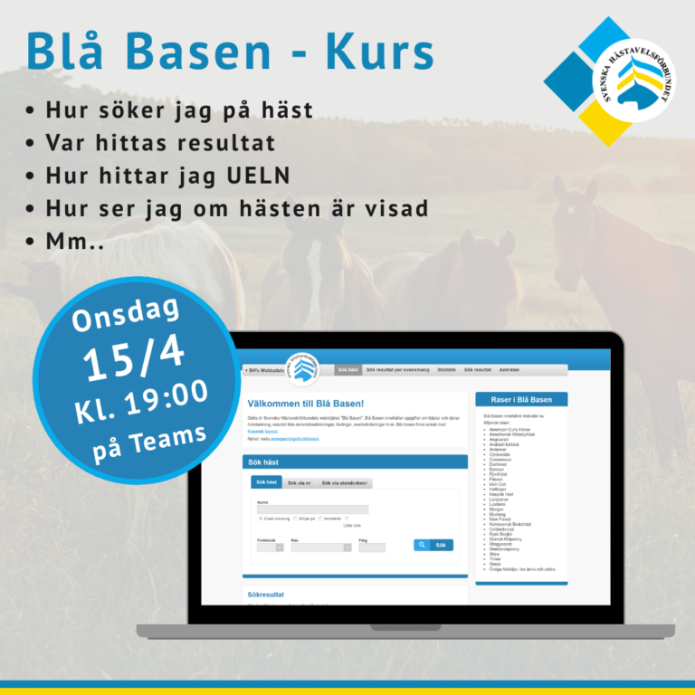 Blå Basen kurs