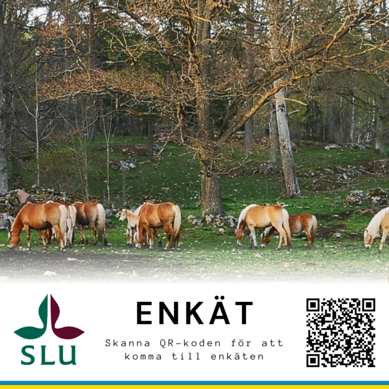 Enkät om avmaskning- påminnelse